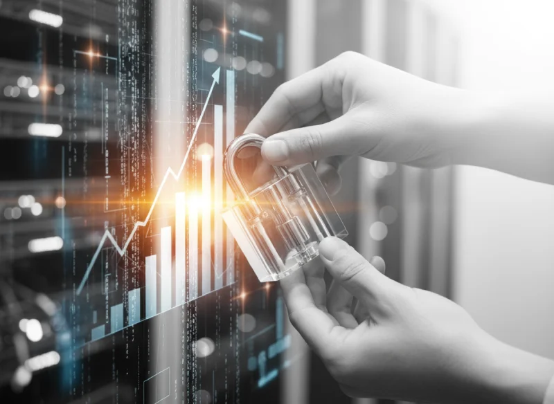 How We Safeguarded a Growing Online Business